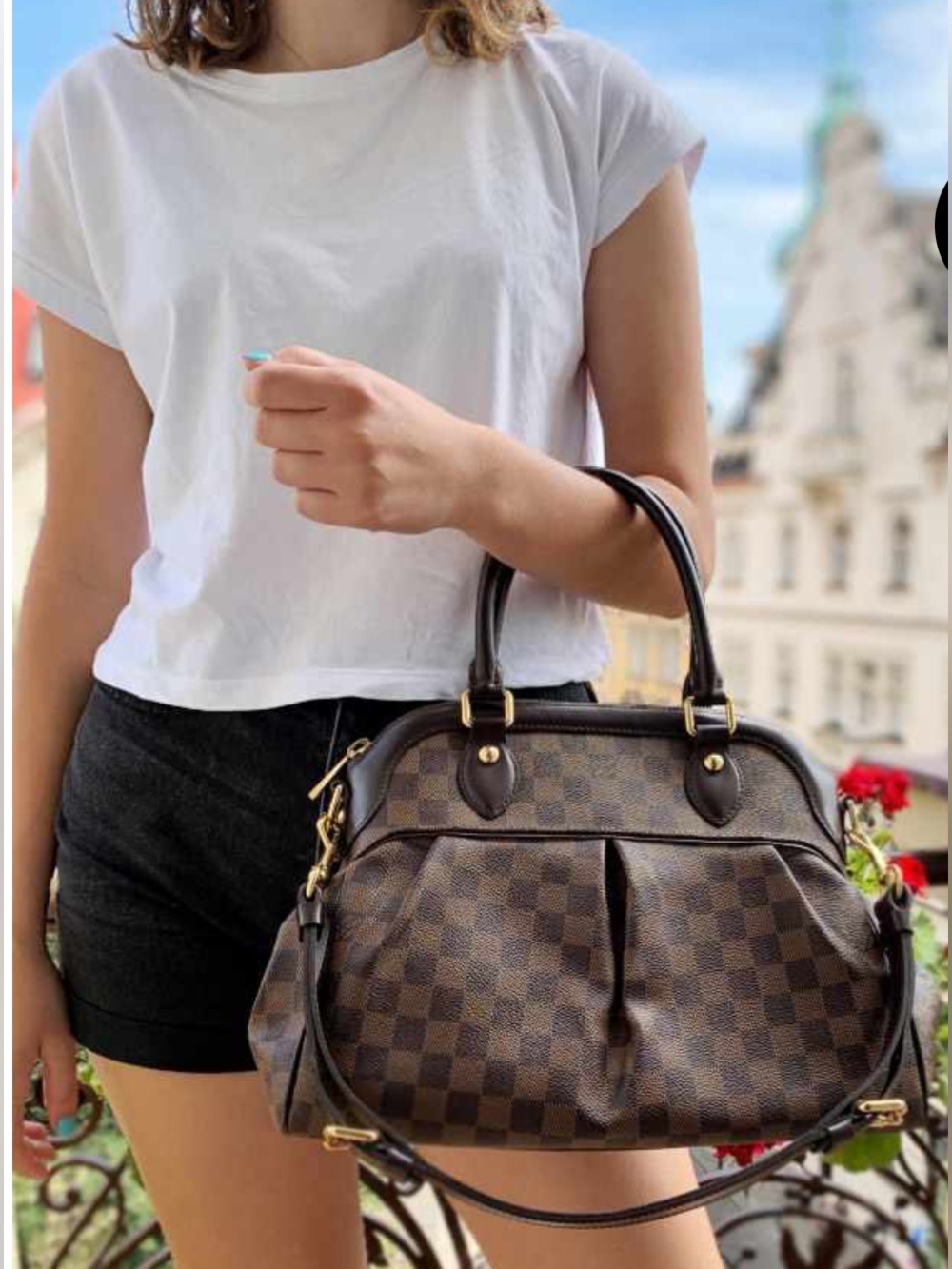 Louis Vuitton Trevi PM Damier Ebene Handbag - Classic